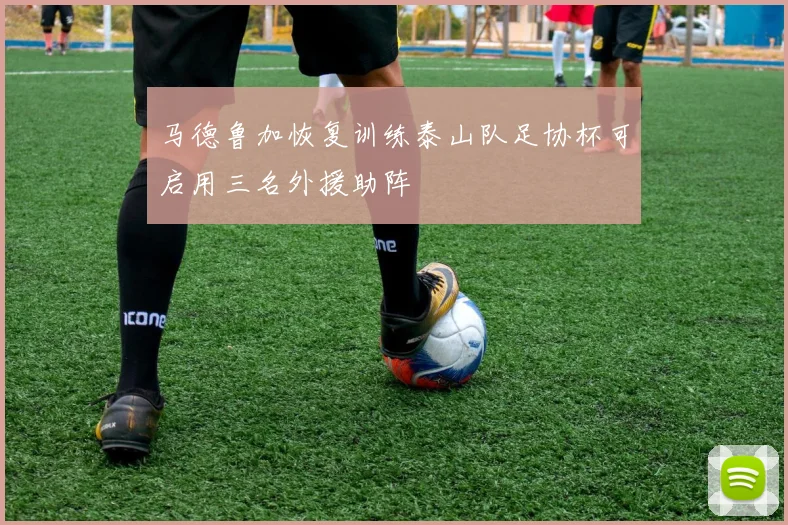 马德鲁加恢复训练泰山队足协杯可启用三名外援助阵