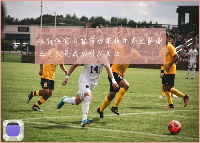 独行侠官方宣布迎来状元秀里萨谢三方交易成功引发关注