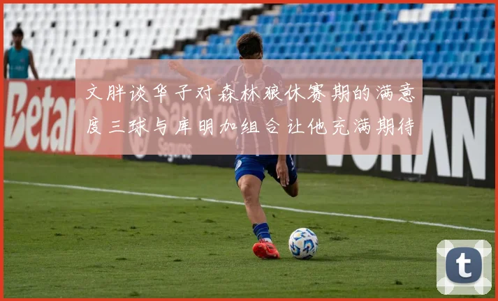 文胖谈华子对森林狼休赛期的满意度三球与库明加组合让他充满期待